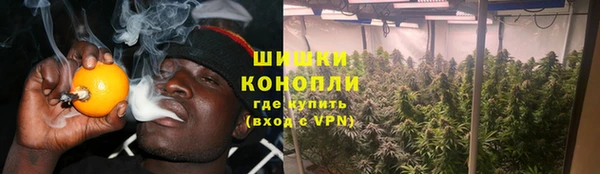 ПСИЛОЦИБИНОВЫЕ ГРИБЫ Осташков