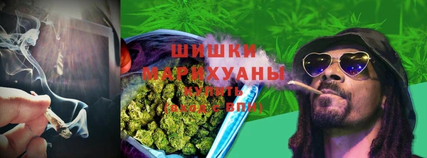 экстази Бородино