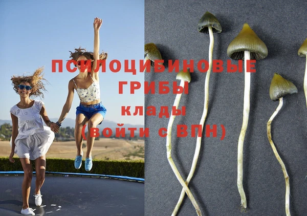 бошки Бугульма