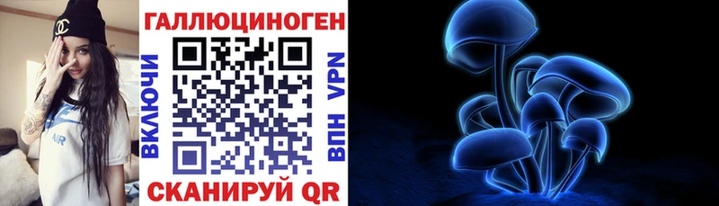 Галлюциногенные грибы Psilocybe  кракен как войти  Тверь 